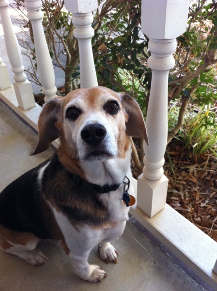 IMG_0011.JPG IMG 0011