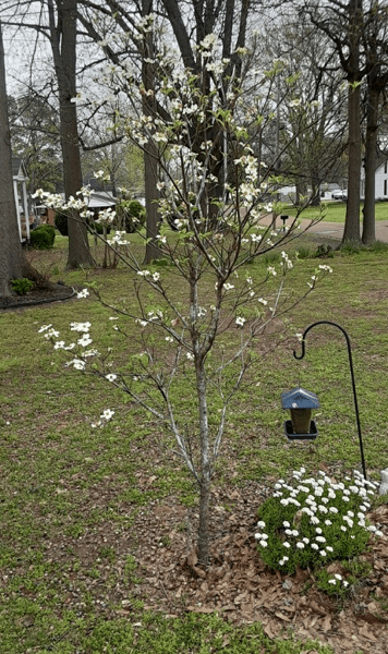 imagejpeg_0.png Imagejpeg 0